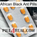 African Black Ant Pills cialis3